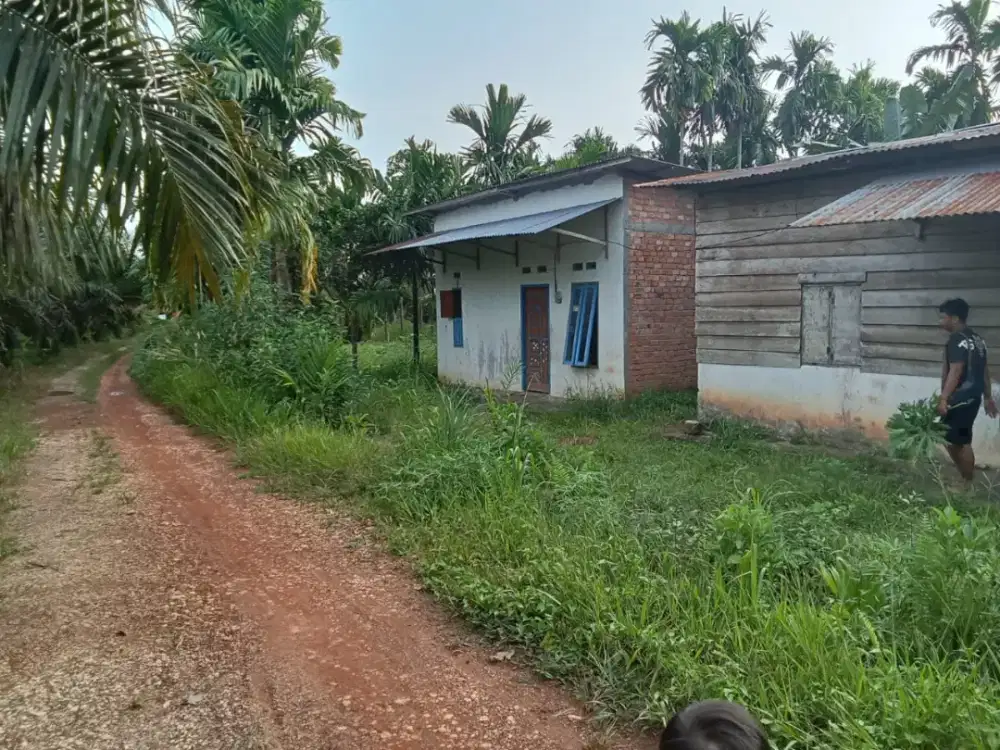 Jual tanah beserta bangunan 1 rumah 2 bedeng semi permanen