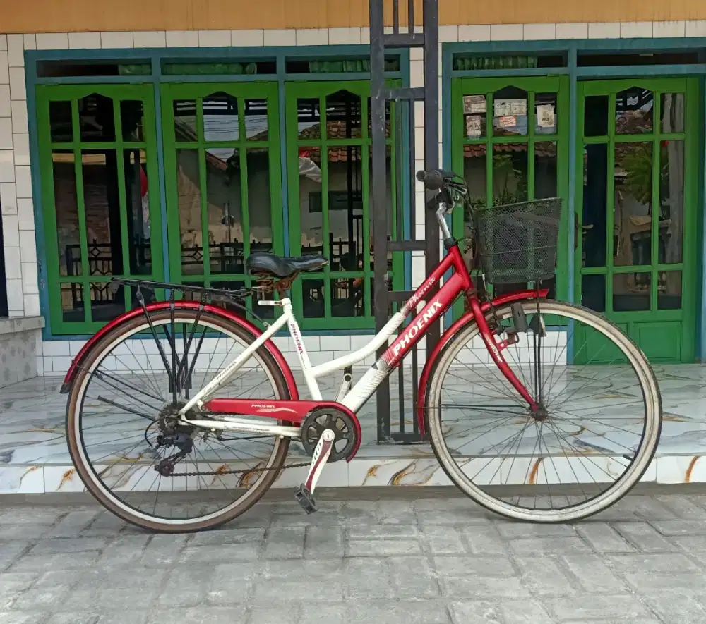 Siera phoenix Uk 26