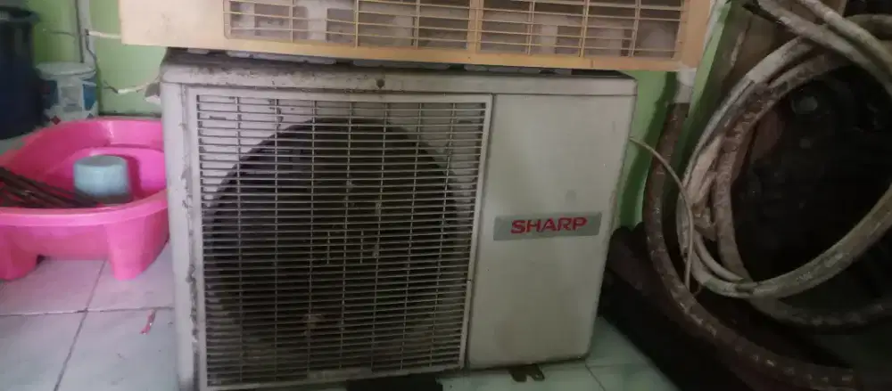 AC Sharp 1/2 pk