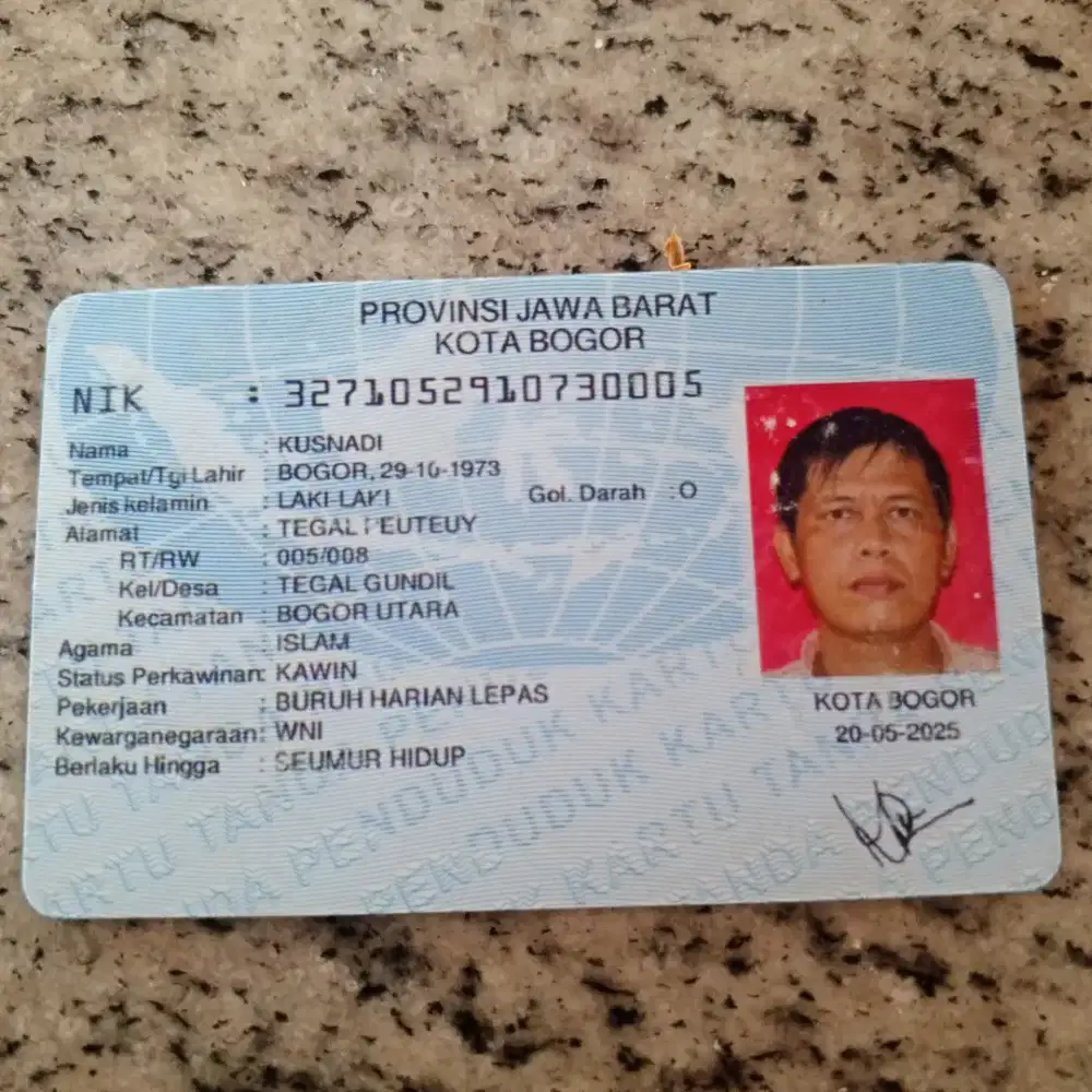 Siap jadi Driver Pribadi / Kantor