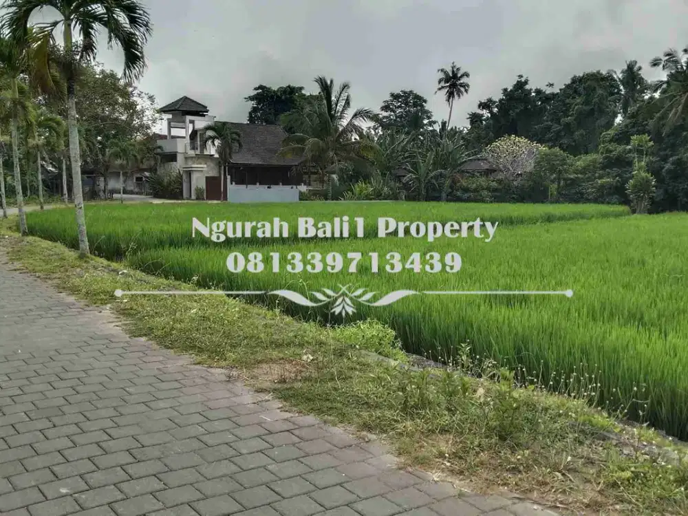 Tanah Dijual Murah Luas 47,95 Are Kawasan Villa di Tengkulak Ubud