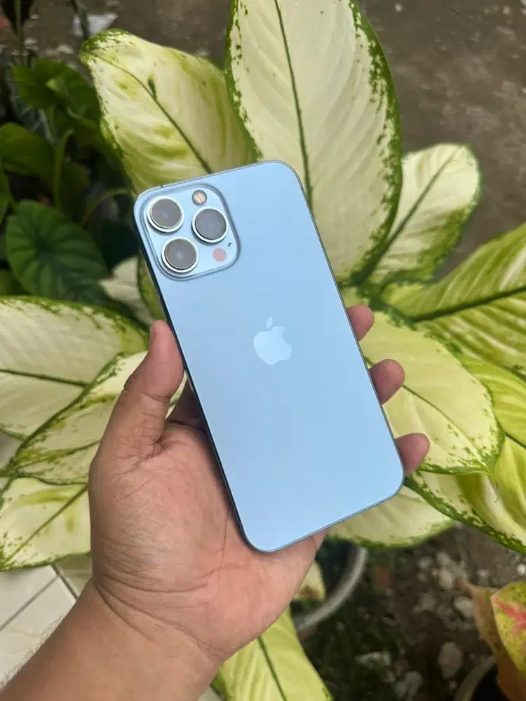 IPHONE 13 PRO MAX 256GB INTER ALL OPERATOR BISA SEMUA KARTU