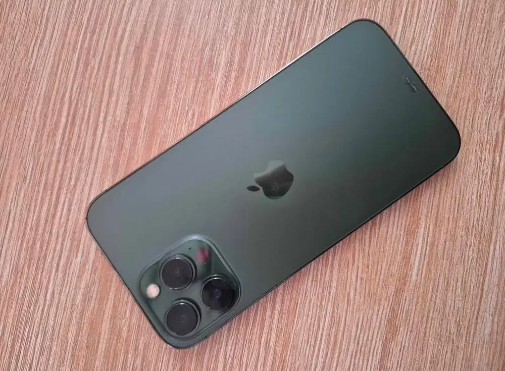 Iphone 13 promax