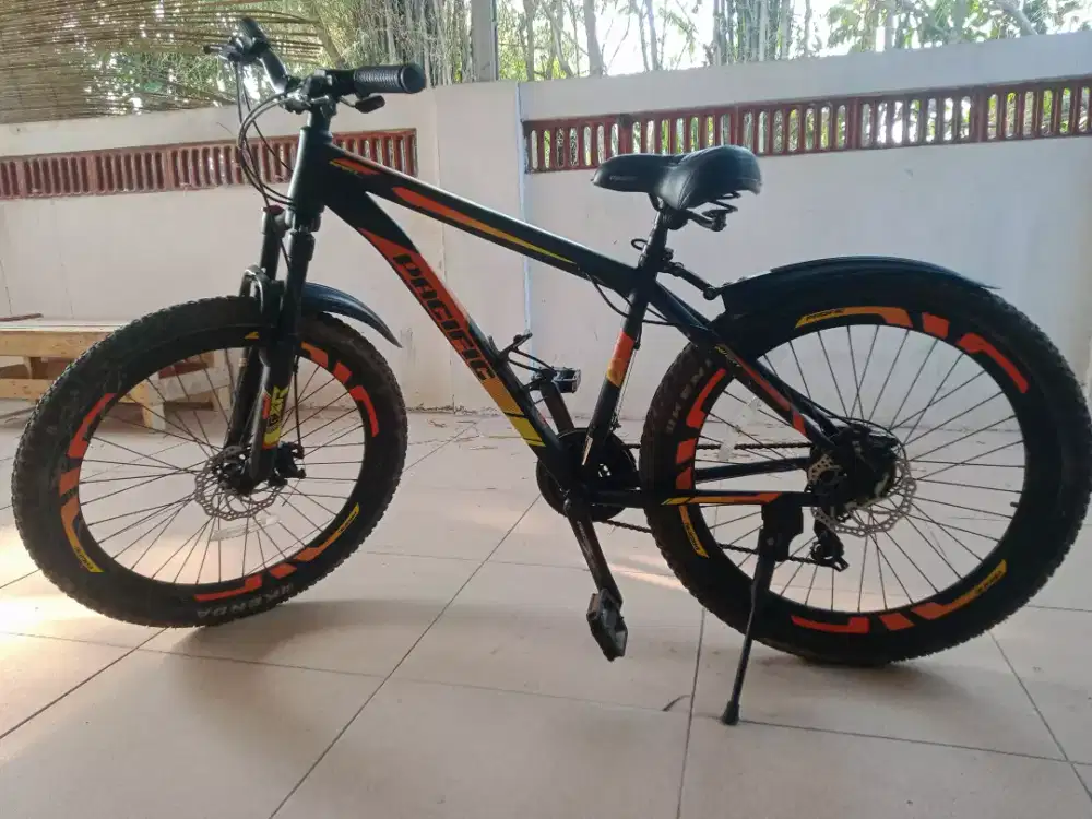 Sepeda gunung merk pasific