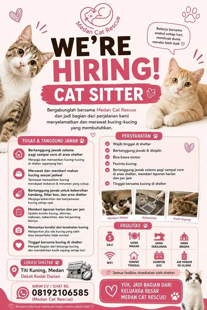 LOWONGAN CAT SITTER – WAJIB TINGGAL DI SHELTER