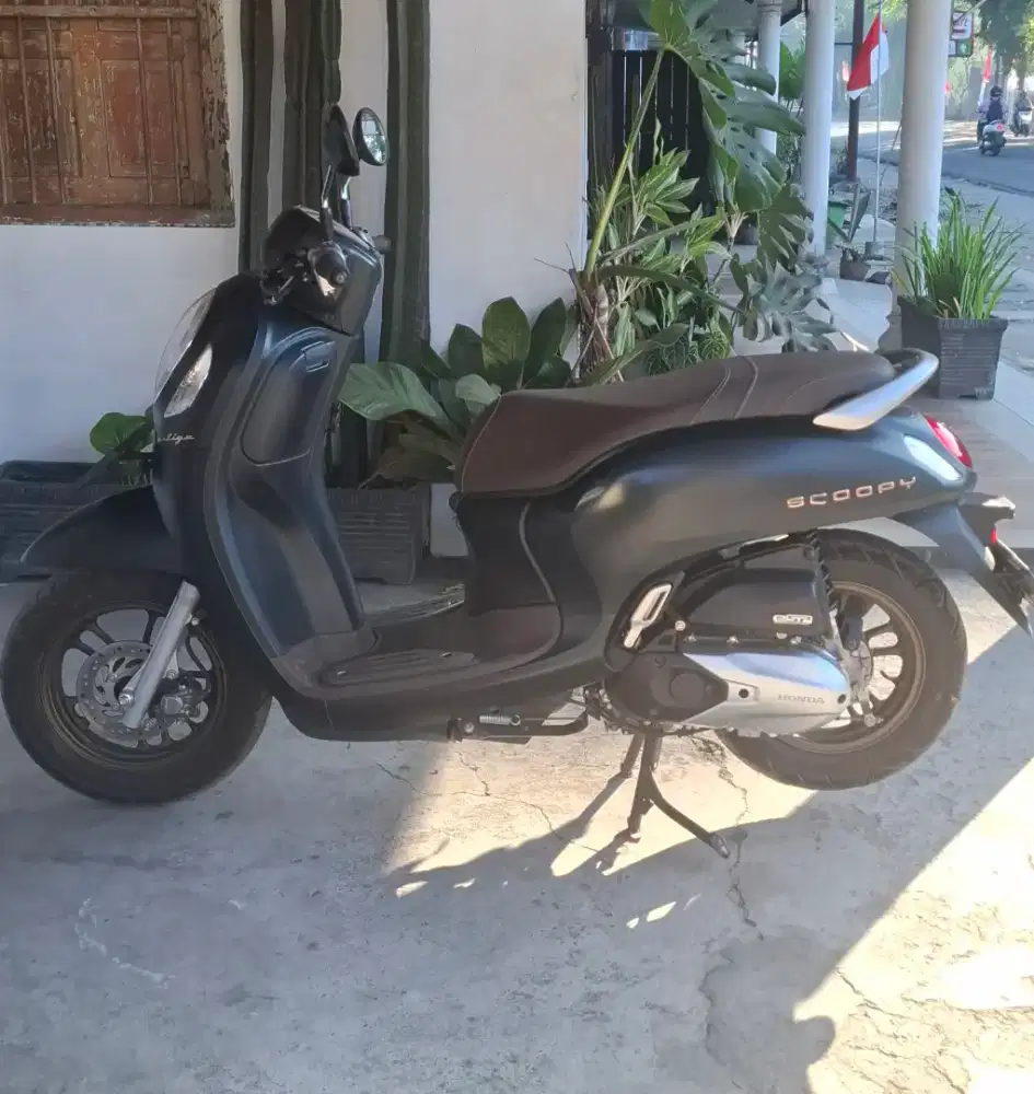 Honda Scoopy 2024