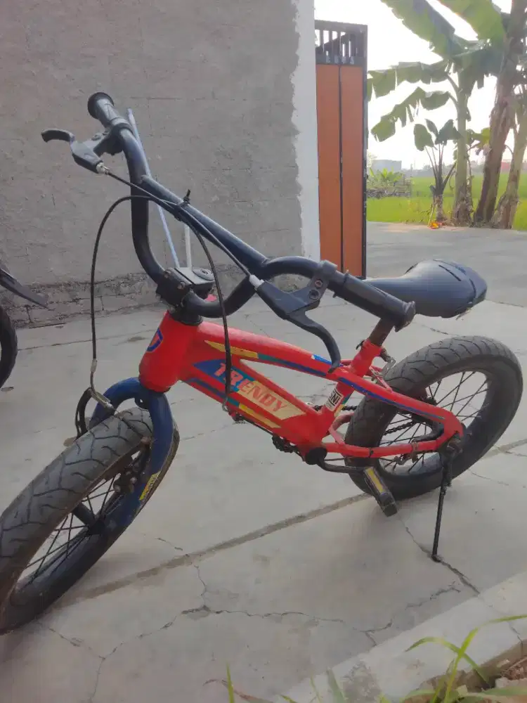 Sepeda anak Bekas kondisi normal