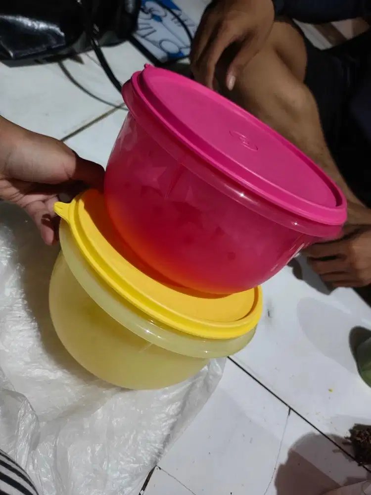 tempat bekal tupperware original