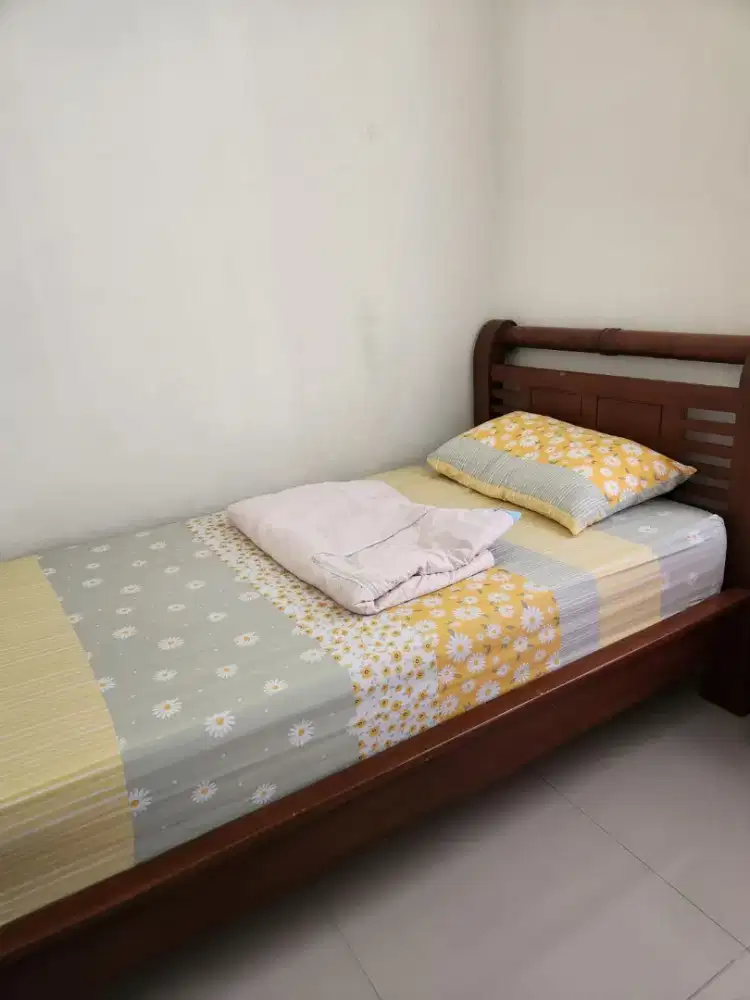 Dipan jati dan springbed