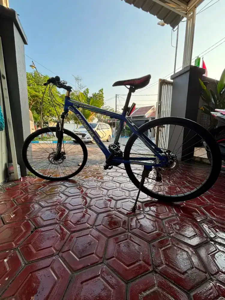 Dijual sepeda phoenix