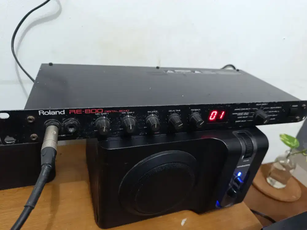 Efek Vokal Roland, Effect