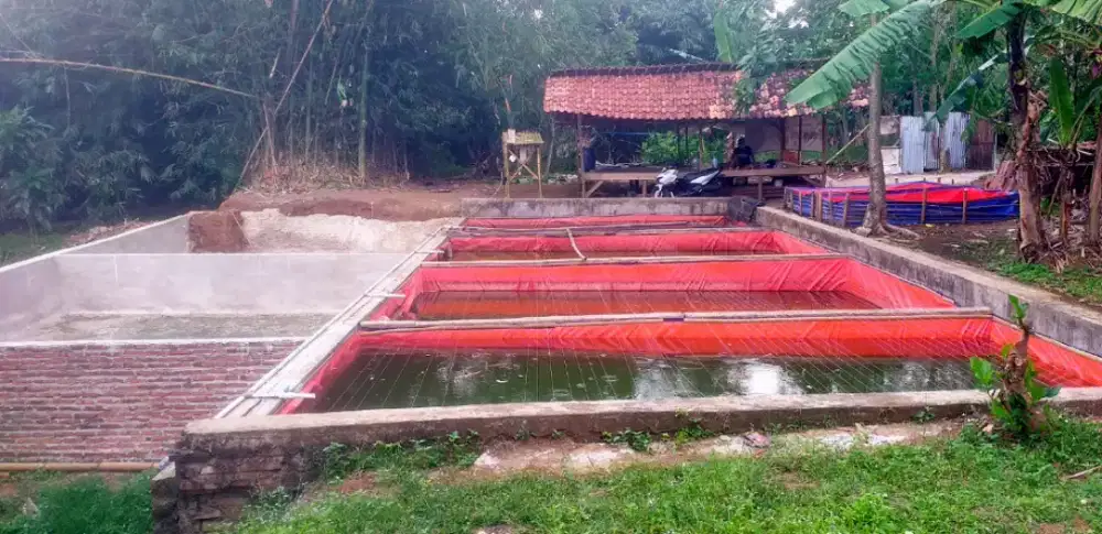 Tanah Dijual BU