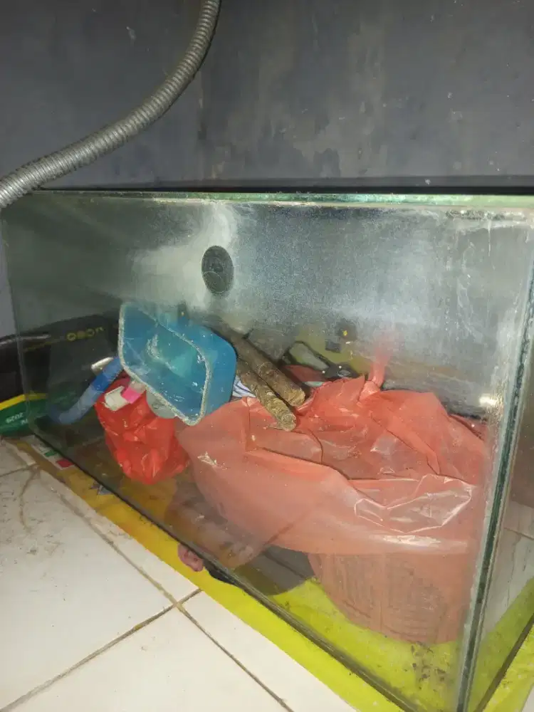 Aquarium kaca uk sedang