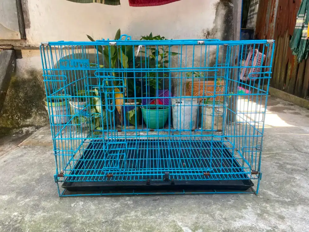 Kandang kucing bekas