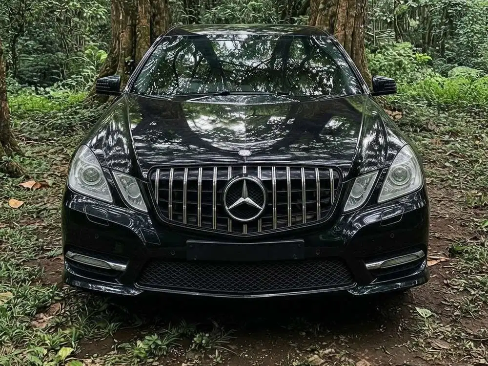 Mercedes-Benz E250 2013 Bensin