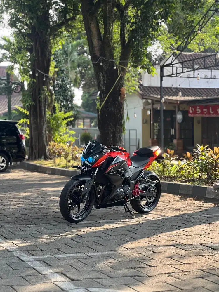 KAWASAKI Z250 th 2014