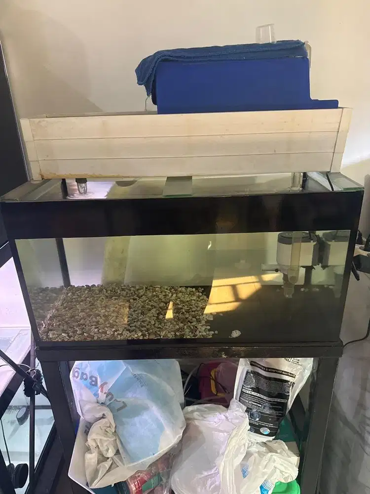 Jual aquarium 60x30