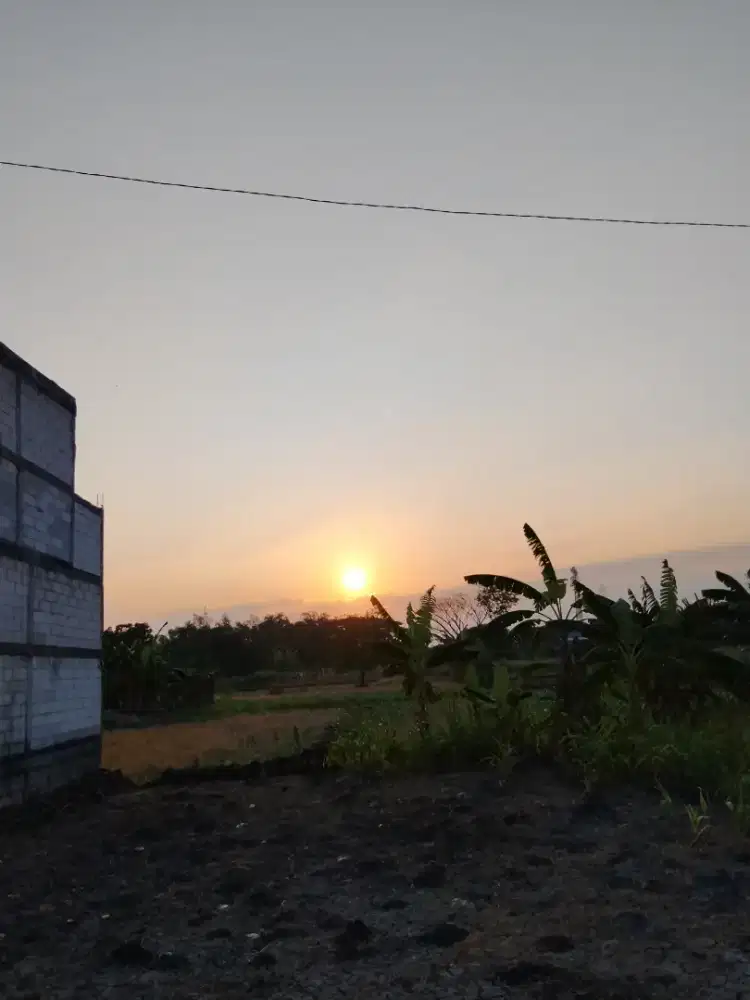 Asisten rumah tangga