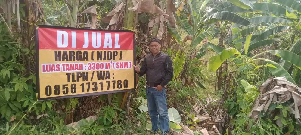 DIJUAL TANAH MURAH HARGA NJOP – SHM LUAS 3.300 M² DI SINGASARI JONGGOL