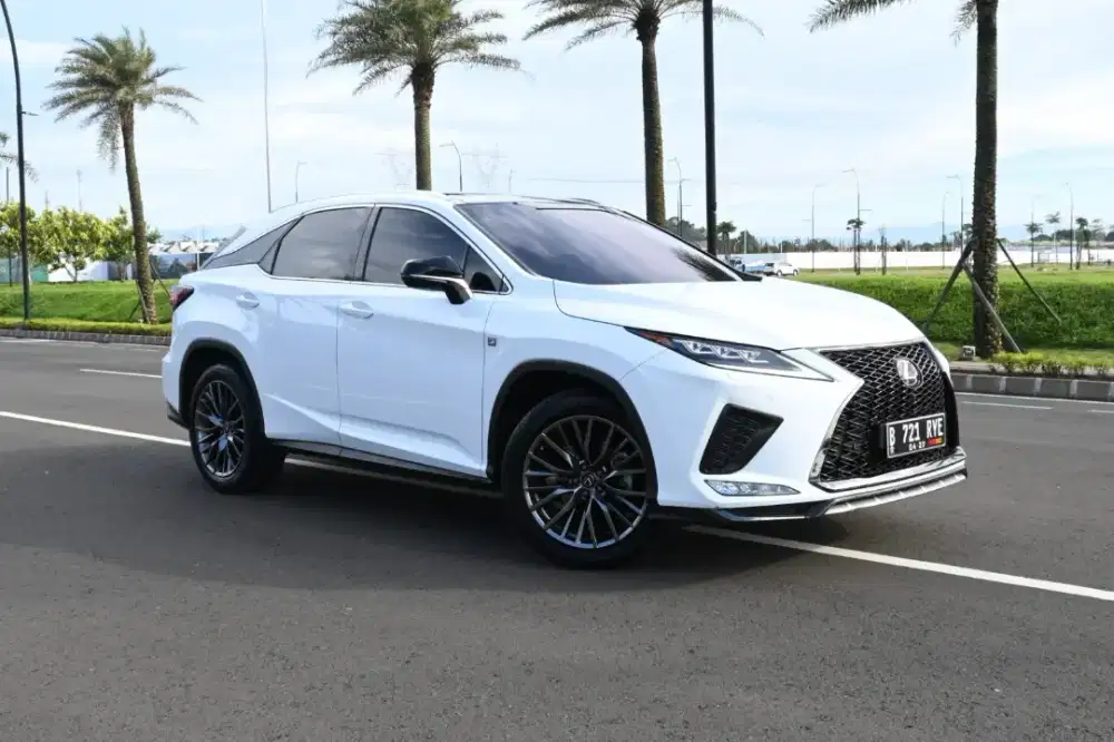 Lexus RX300 Fsport at 2022