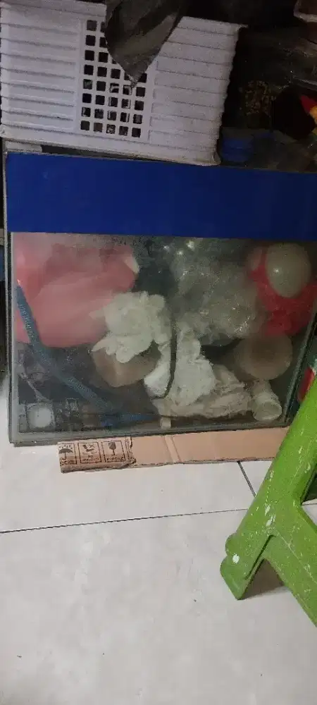 Aquarium ikan louhan