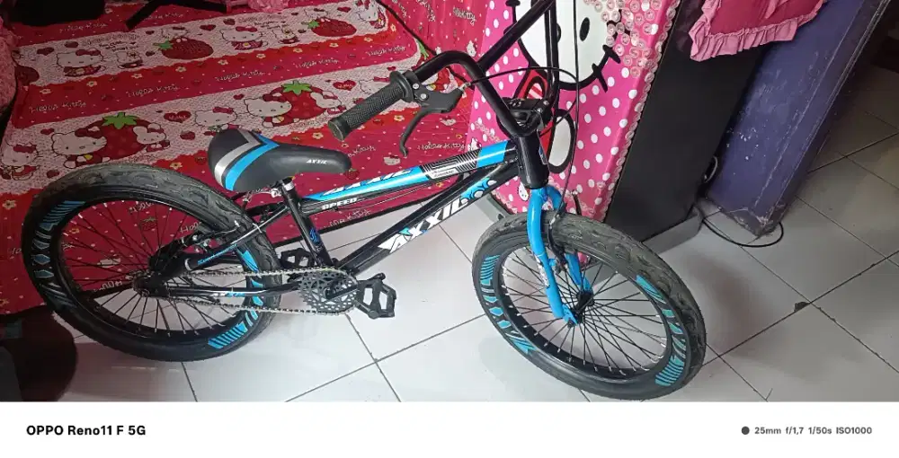 Sepeda 20 inch BARU