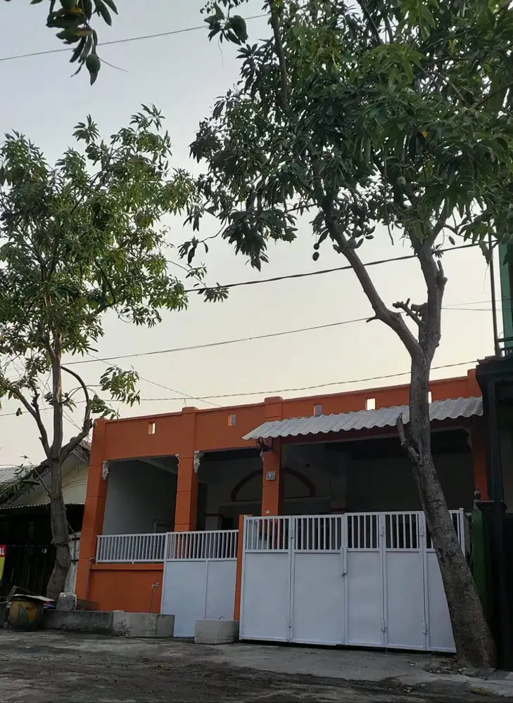 Disewakan rumah nyaman dan aman