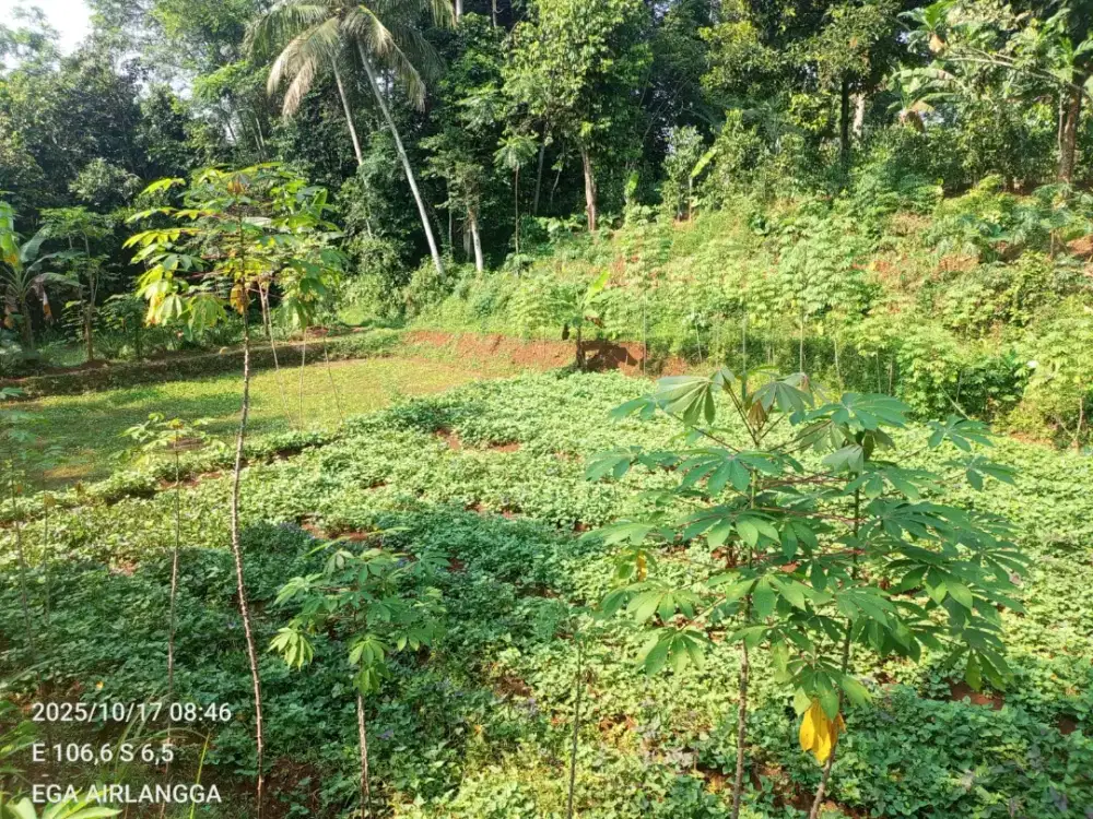 Di jual lahan murah strategis akses mobil