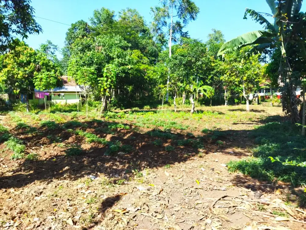 Tanah Ciparay SHM Cocok Bangun Rumah atau Investasi