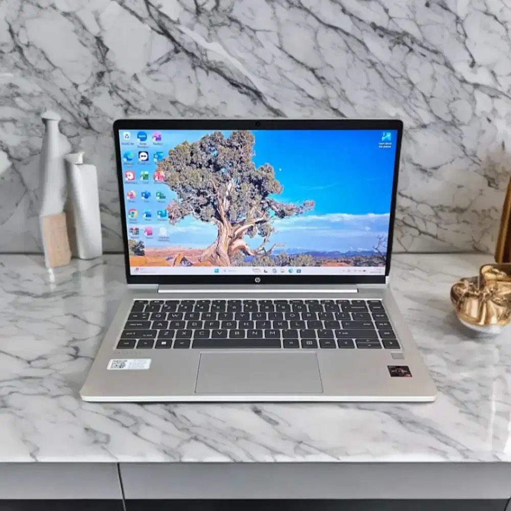 HP Probook 445 G8 AMD Ryzen 5 5600U Ram 8GB SSD 256GB Mulpis