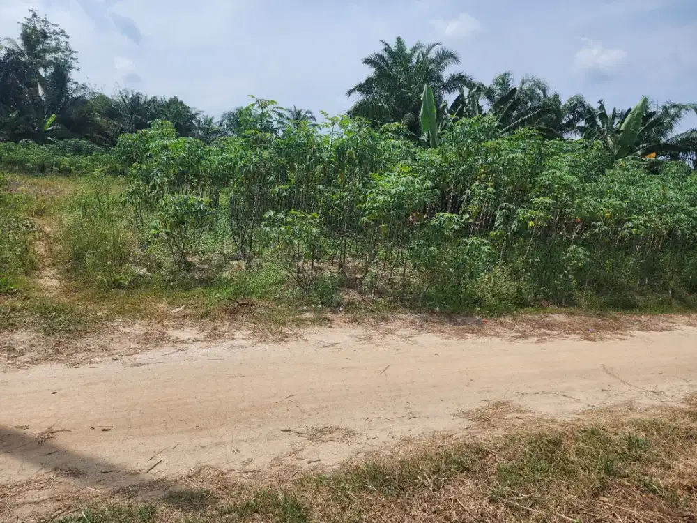 Dijual tanah kapling perumahan
