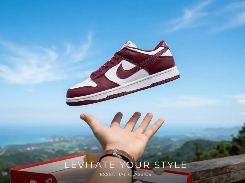 Nike sb dunk bordeux