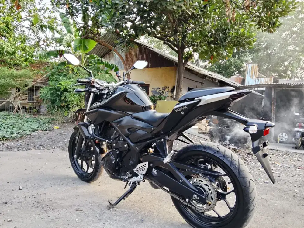 YAMAHA MT25 2019 GRESS