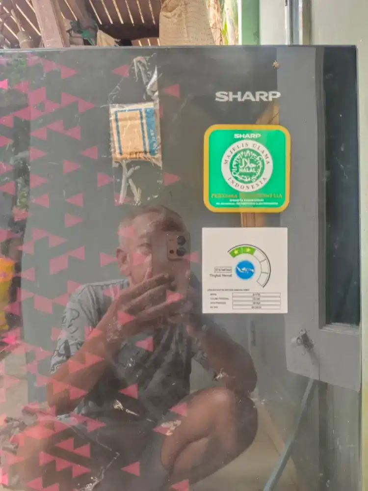 Kulkas sharp 1 pintu