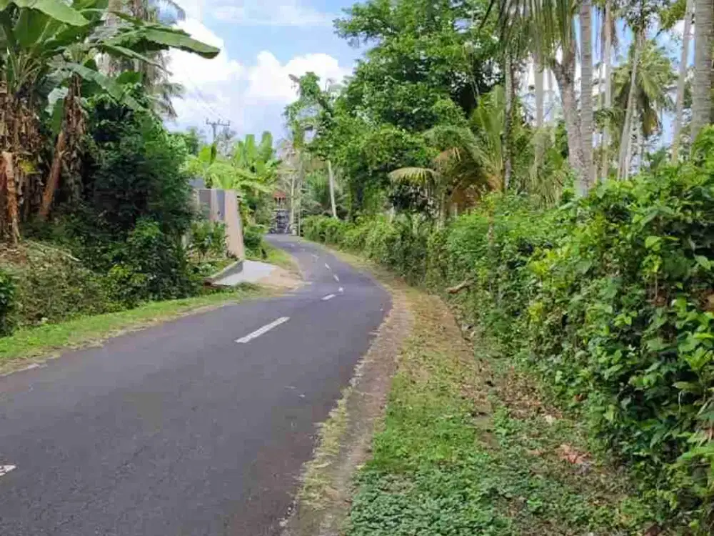 jual tanah murah ,di tabanan.pinggir jln aspal .luas 8500m2 (85 are). harga 50 jt/ are/100m2