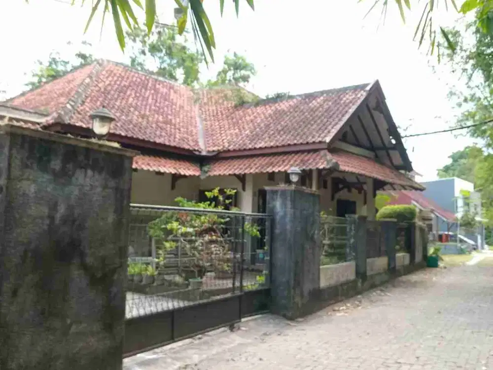 MURAH!! Rumah Dengan Tanah Luas Di jl. Palagan km 6 Dekat HYATT , Kampus UGM, Malioboro