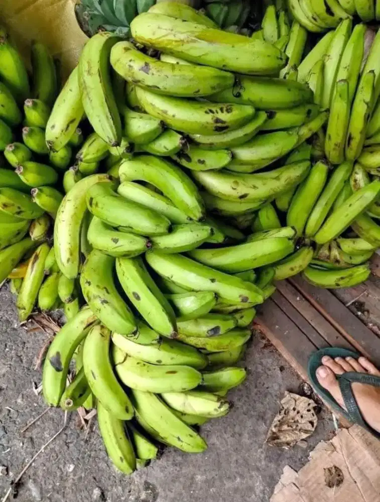 Pisang Ambon Super