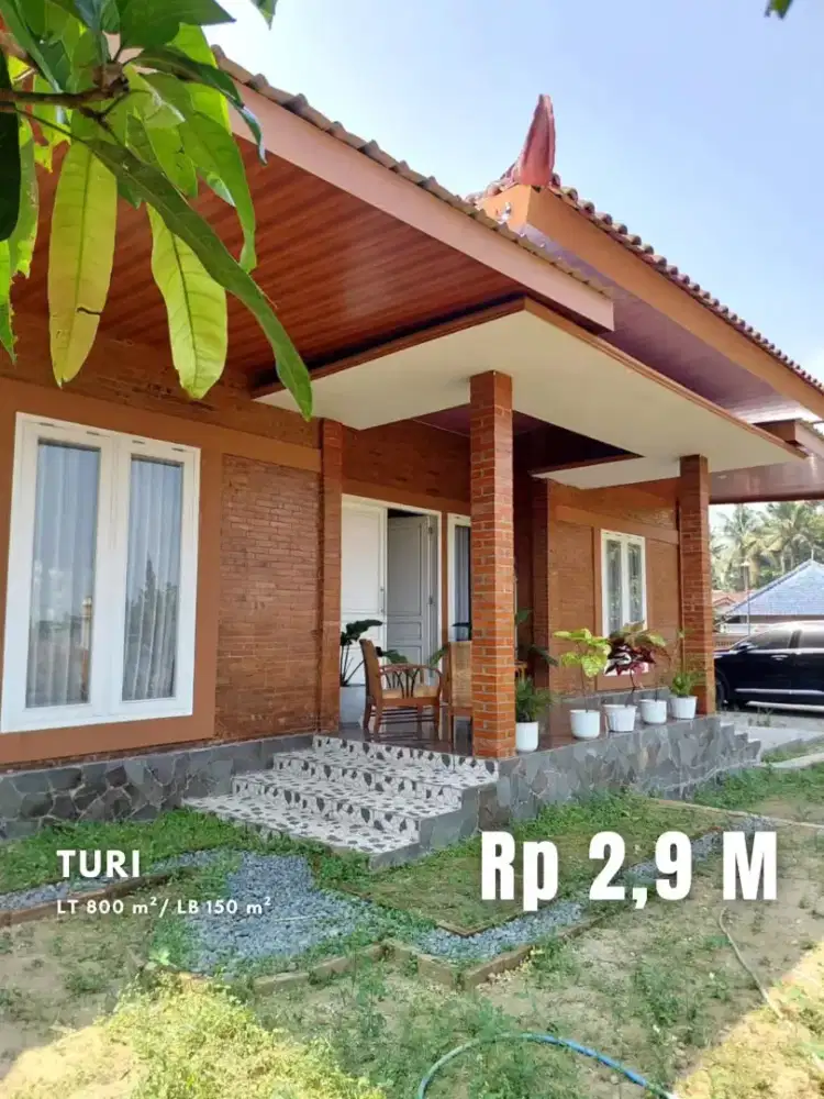 Dijual Villa Adem dan Homey View Persawahan di Turi