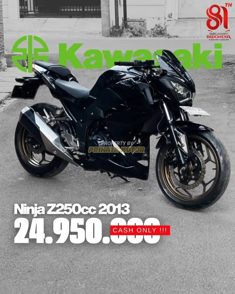 KAWASAKI Z 250 2013