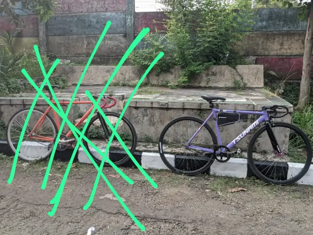 TSUNAMI SNM 100