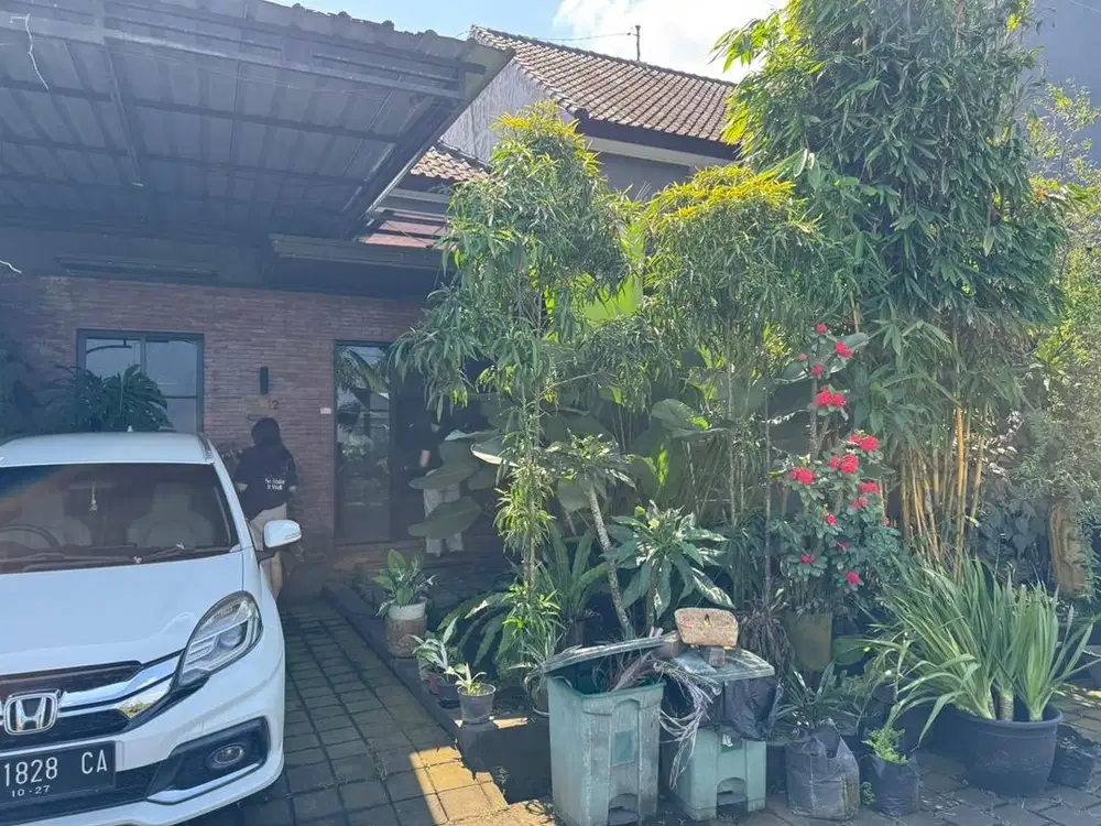 Furnished House For Rent - IDR 40 Million/year | 1 BedRoom, Tanah lot