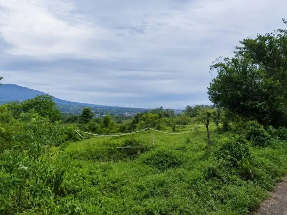 Dijual Tanah Untuk Pemakaman di Gunung Geulis Megamendung Bogor