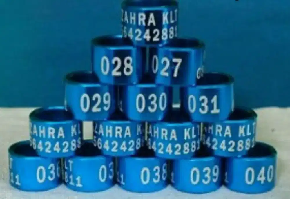 Ring Burung Kenari, Ring Burung Lovebird Dll