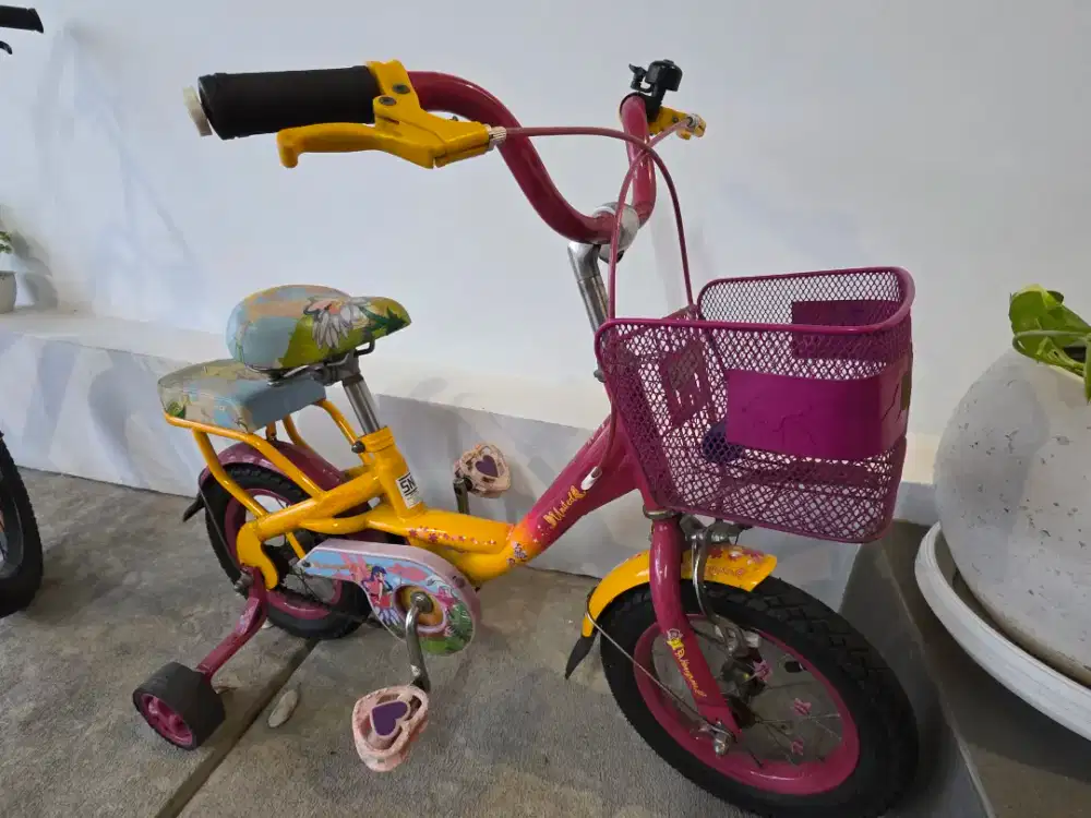 Sepeda Anak-anak
