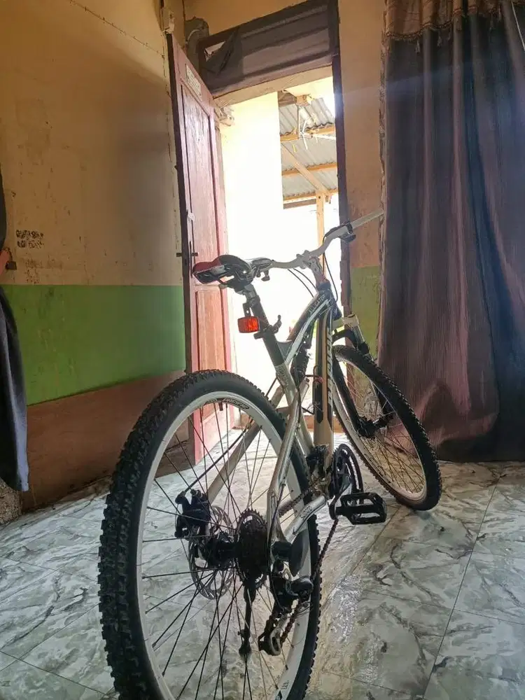 Sepeda olahraga