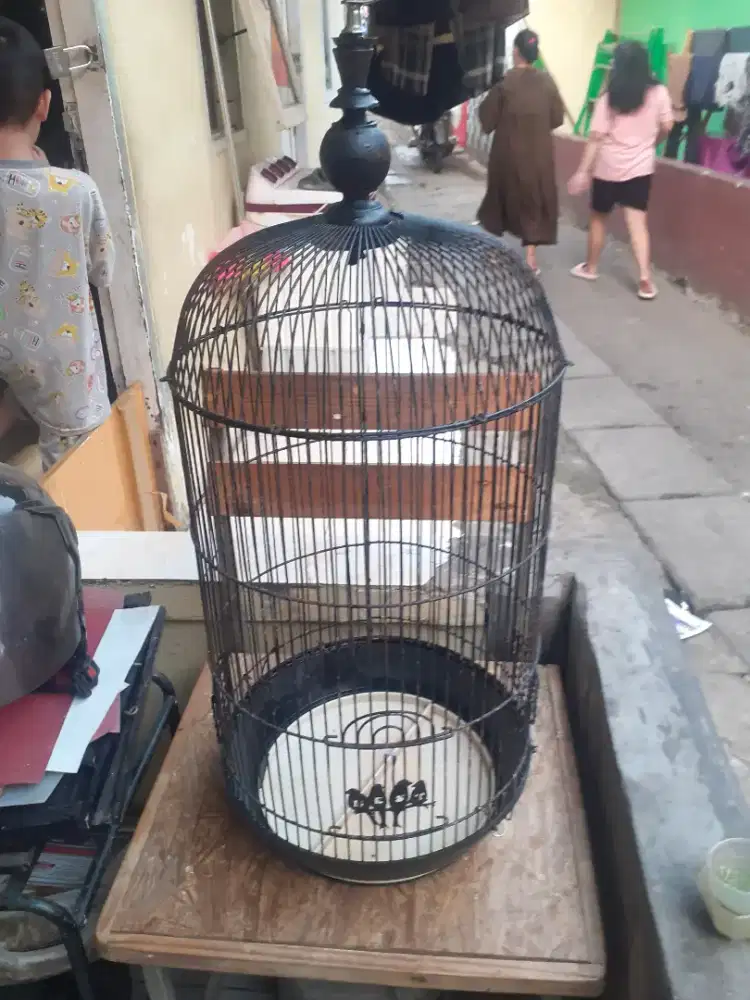 Kandang Lb pintu bawah di BSD