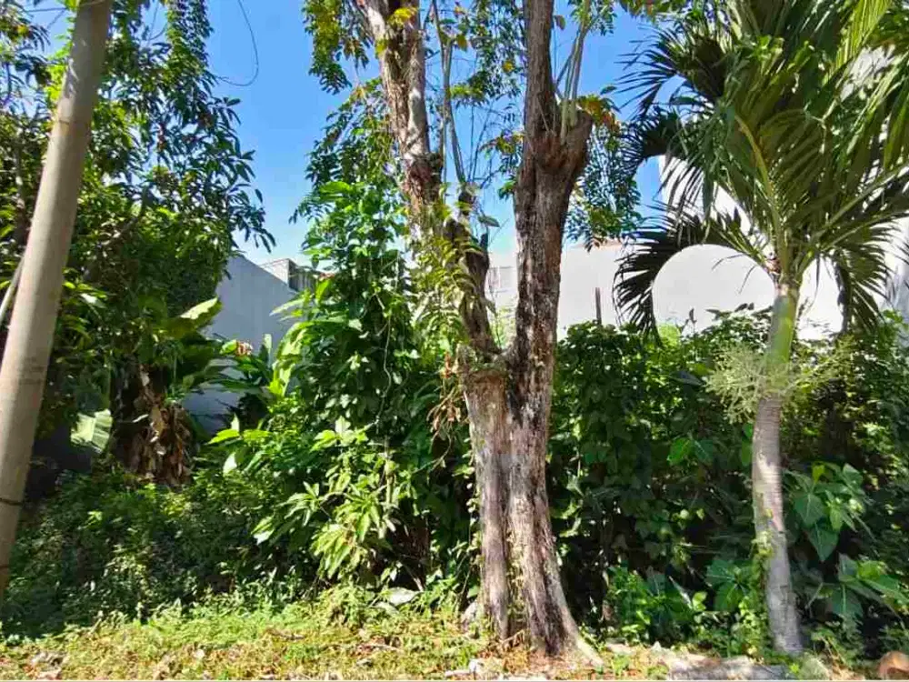 Dijual Tanah Urukan Padat Siap Bangun Lokasi Perumahan Elit Klampis Surabaya Dekat Merr, Galaxy Mall, Aneka Kampus : Unitomo, ITATS, Unair, Narotama. Cocok Untuk Investasi, Hunian atau Kantor