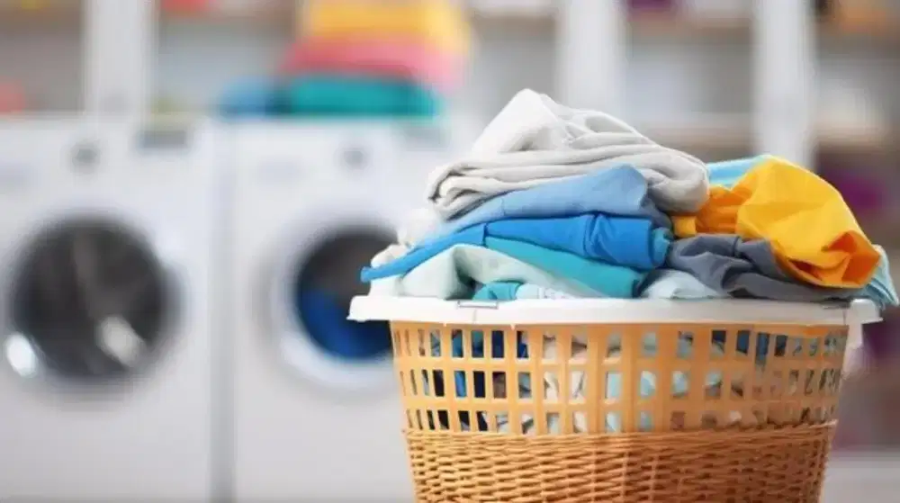 jasa antar laundry