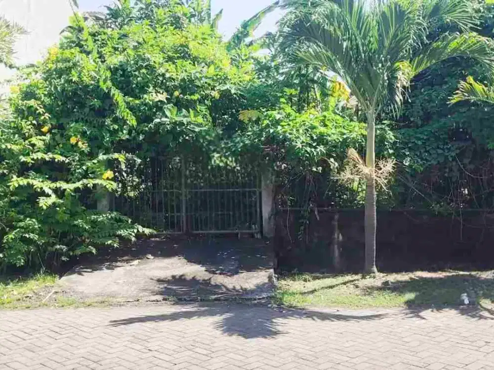 Dijual Cepat Tanah Urukan Siap Bangun Klampis Surabaya Dekat Merr, ITS, Unair, STIKOM dan RS Premier.. Cocok Untuk Investasi, Hunian, Kantor dll
