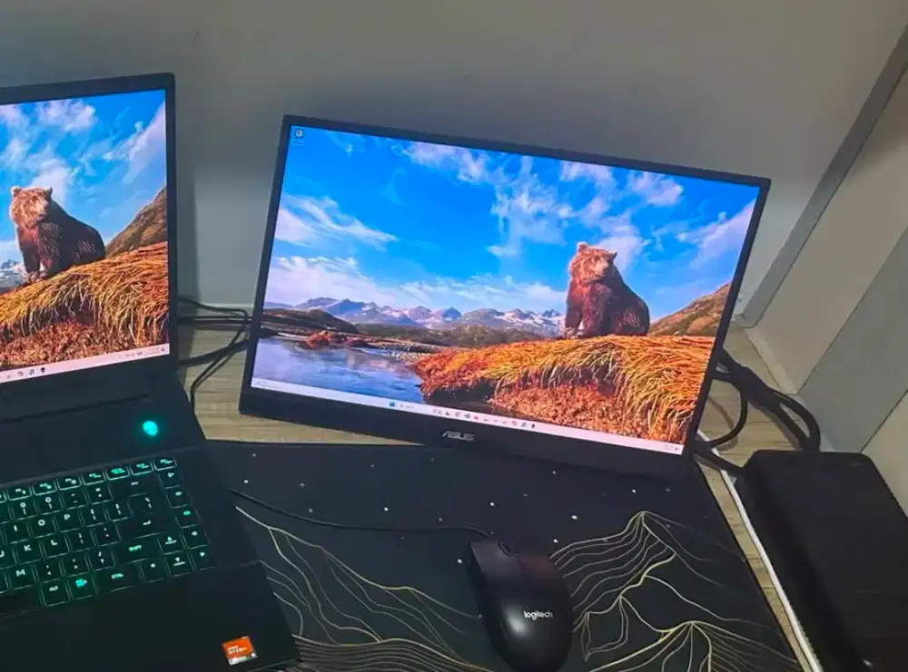 ASUS 16 Portable Monitor